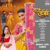 Sarak Jata Sari (Shilpi Raj)