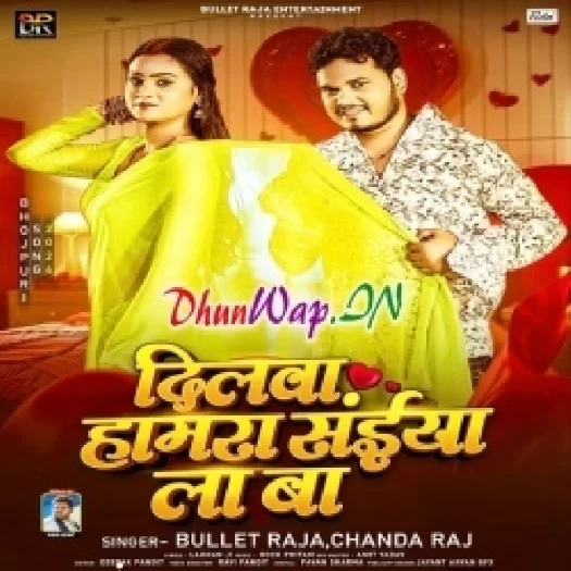 Dilwa Hamara Saiya La Ba (Bullet Raja,Chanda Raj)