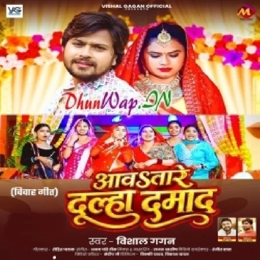 Aawtare Dulha Damad (Vishal Gagan)