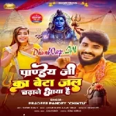 Pandey Ji Ka Beta Jal Chadhane Aaya Hai (Pardeep Pandey Chintu)