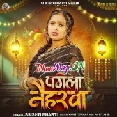 Pagla Naiharwa (Shristi Bharti)