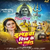 Dulhawa Shiv Ke Pa Gailu (Anu Dubey)