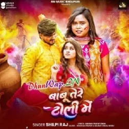 Babu Tere Toli Me (Shilpi Raj)