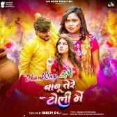Babu Tere Toli Me (Shilpi Raj)