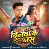 Dilwa Ke Nas