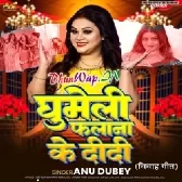 Ghumeli Falana Ke Didi (Anu Dubey)