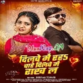 Dilwe Me Raha Chahe Dilwe Rakh La