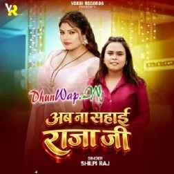 Ab Na Sahai Raja Ji (Shilpi Raj)
