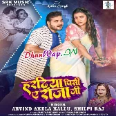 Haradiya Pisi Ae Raja Ji (Arvind Akela Kallu, Shilpi Raj)