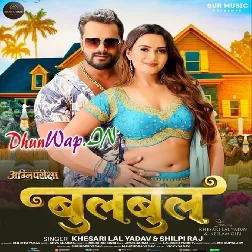 Bagaiche Me Bulbul Bichhai Da Odhaniya (Hitt Matter)