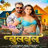 Bagaiche Me Bulbul Bichhai Da Odhaniya (Hitt Matter).mp3