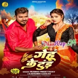 Gehu Ke Tud Tora Dhodi Me Dhuk Jaai (Hitt Matter)