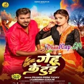 Gehu Ke Tud Tora Dhodi Me Dhuk Jaai (Hitt Matter)