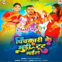 Pichkari Ke Mudi Toot Gail