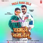 Pagle Bana Delu Tu Pura Pagle Bana Delu