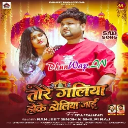 Chhat Par Se Khada Hoke Dekhiye Majanua Re Tore Galiya Hoke Doliya Jayi Nu Ae Jaan-(DhunWap.Net)