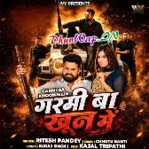 Jetna Garmi Hola May June Me Okro Se Doguna Bate Hamara Khoon Me-(DhunWap.Net).mp3