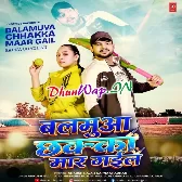 Hum Ta Rok Nahi Pawni Bakamua Chhaka Maar Gail (Hitt Matter)-(DhunWap.Net).mp3