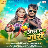 Chikha Da Apan Aam Ae Gori (Hitt Matter)-(DhunWap.Net).mp3